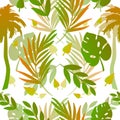 Exotic floral texture with palm, monsterra, branches on white background.